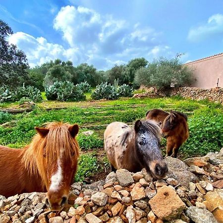 Finca Agroturismo Sa Cova Den Borino كامبوس المظهر الخارجي الصورة