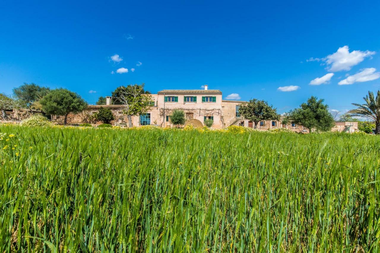 Finca Agroturismo Sa Cova Den Borino كامبوس المظهر الخارجي الصورة